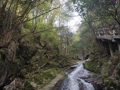-藏龙百瀑风景区