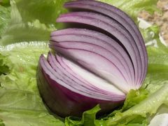 -丰茂烤串(卫星广场店)