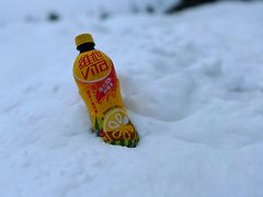 -太子岭滑雪场