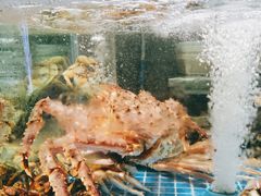 -宴小馆·小海鲜青岛菜(五四广场店)