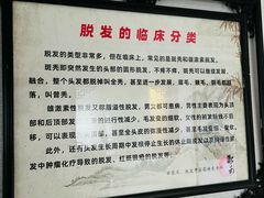 -淞南镇社区卫生服务中心