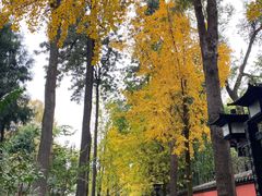 -成都武侯祠博物馆