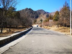 -北京鹫峰国家森林公园