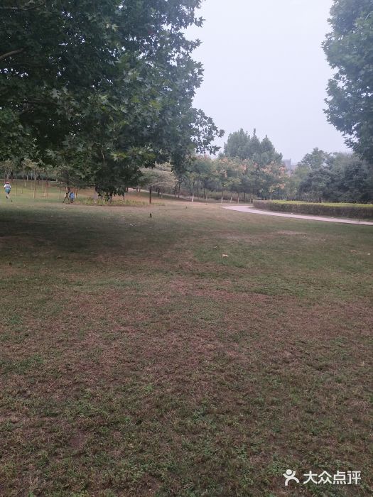 郑东新区湿地公园图片
