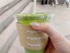 -代数学家algebraist(苏州中心店)