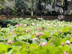 -成都市第二人民医院(庆云院区)