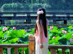 -成都南湖公园