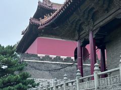 -北陵公园