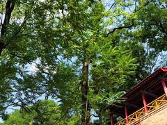 -华清宫景区