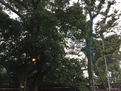 -峨眉山报国寺