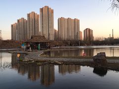 景点-前关湿地公园