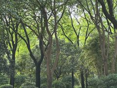 -木塔寺遗址生态公园