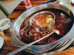 -金鼎雪山牦牛杂火锅(理县总店)