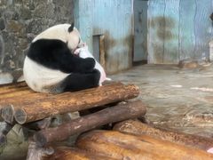 -海南热带野生动植物园