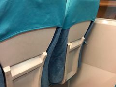 -龙阳路磁悬浮列车总站-停车场