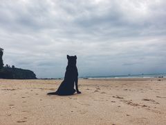 -滴水丹屏