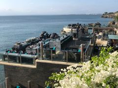 -Rock Bar Bali(Bali)