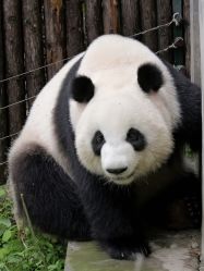 -Zoolung Zoolung动物主题公园(海信广场店)