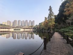 -重庆彩云湖湿地公园