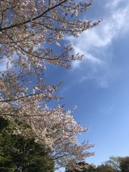-瑶芳清颜草本祛痘