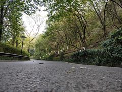 -重庆彩云湖湿地公园
