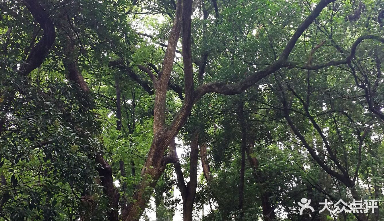 浙江大学 之江校区