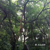 浙江大学 之江校区