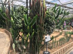 -兰陵国家农业公园