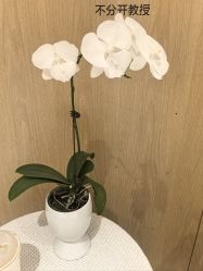 -广东韩妃整形外科医院
