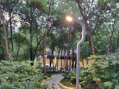 -西安市长乐公园