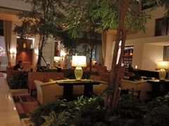 -丽思卡尔顿酒店泳池(金融街店)