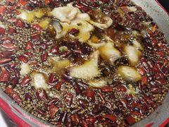 -雲蜀龙阁·金牌水煮鱼(方庄店)