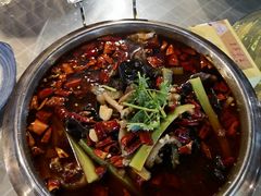 筋头巴脑牛一锅-老家味道主题餐厅