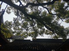 -西园戒幢律寺