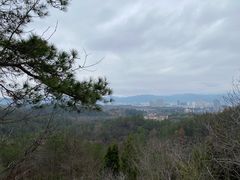 -天台山赤城山景区