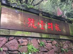 -龙井壹号·茶缘山景宴(龙井村店)