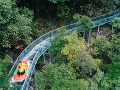 -龙湾潭国家森林公园