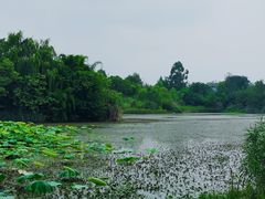 -白鹭湾湿地公园