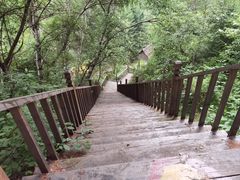 -苏木山森林公园