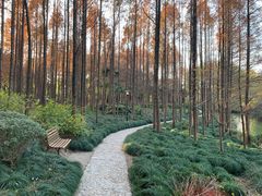 景点-黄兴公园