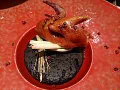 -南堂馆·新川菜(春熙路店)