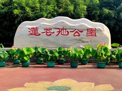 -莲花池公园