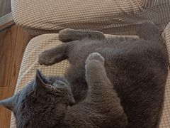 -春笙食堂.丼饭拉面寿司(GOGO新天地店)