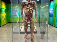 -国家自然博物馆