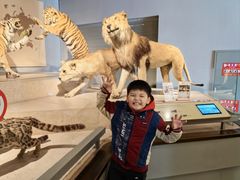 -Behring World of Animals(上海自然博物馆店)