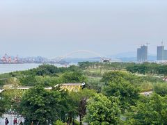 -芒洲湿地公园
