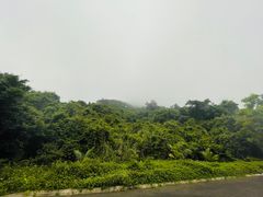 -海南铜鼓岭景区