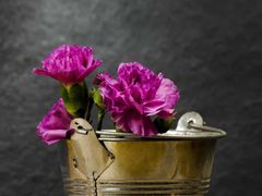 -山茶云南菜(中关村店)