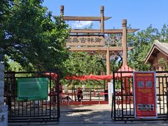 -御林古桑园