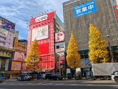 -秋叶原电器街